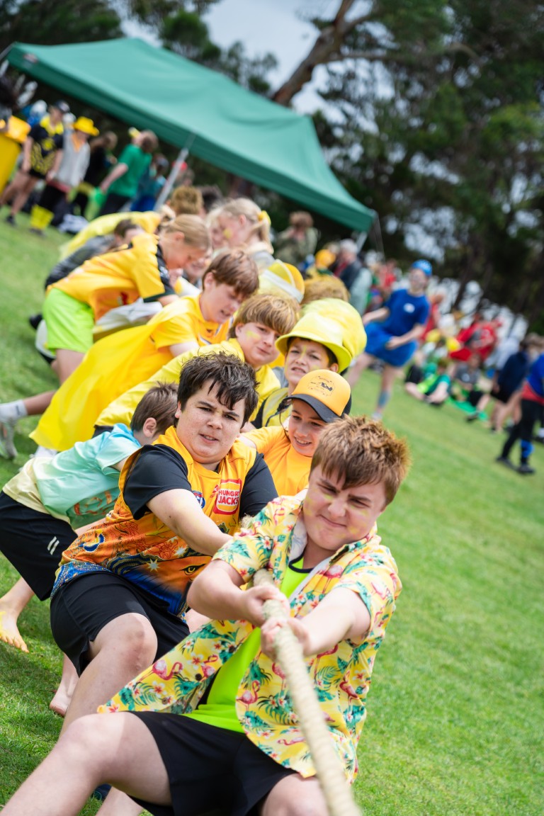 /uploaded_files/media/gallery/1764566084ATHS 25-265 (Medium).jpg